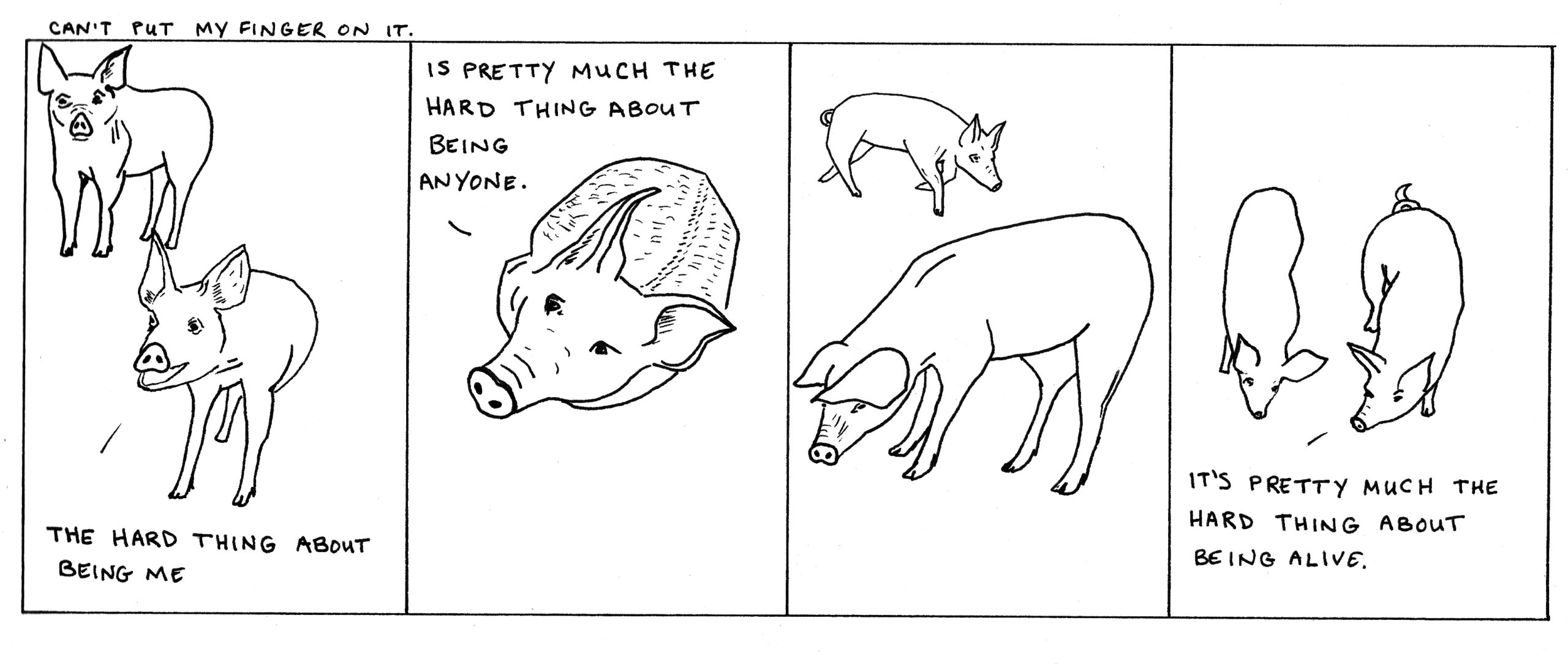 The hard thing about bacon is pigs are so smart