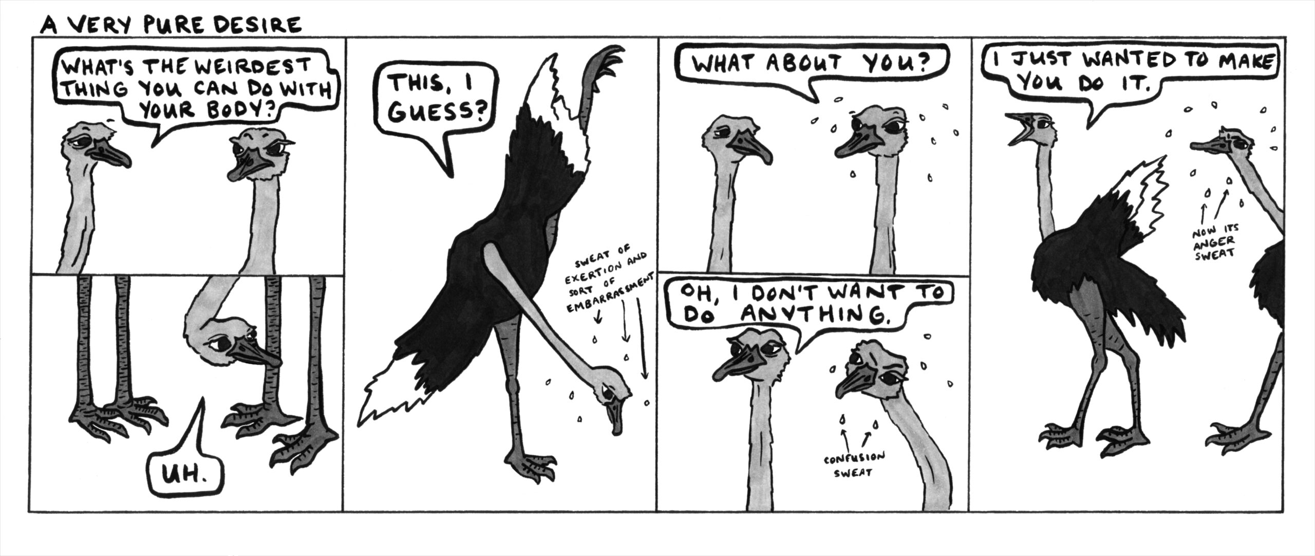 Dave wanted me to draw a road runner this week but I think ostriches are funnier for this particular concept