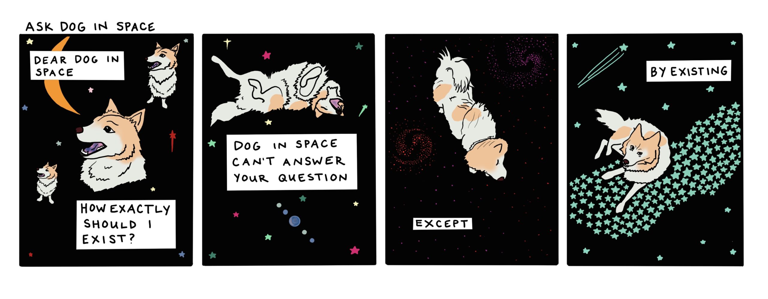 a white fluffy dog plays among the stars